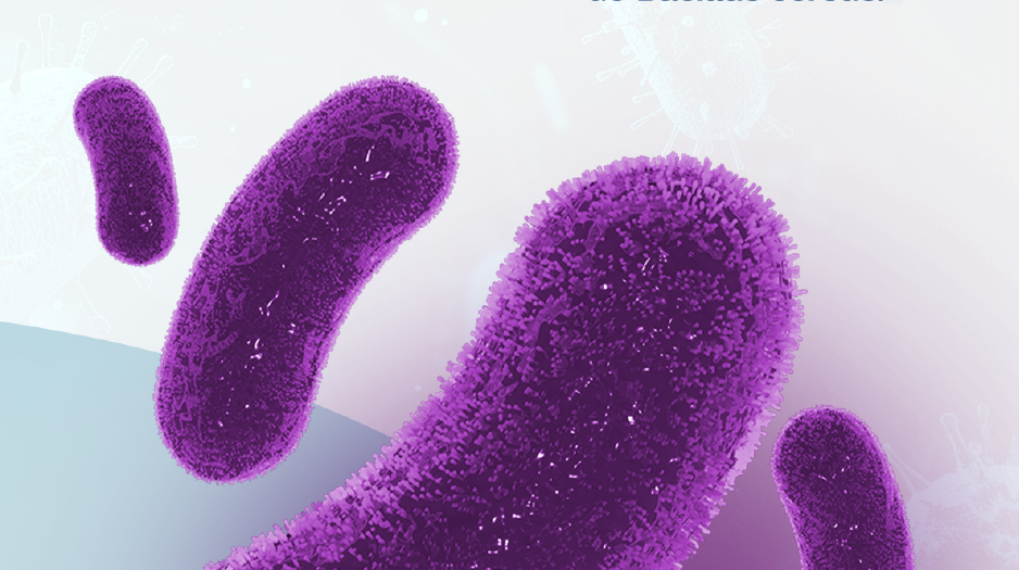 Captura de pantalla 2026-01-14 155747