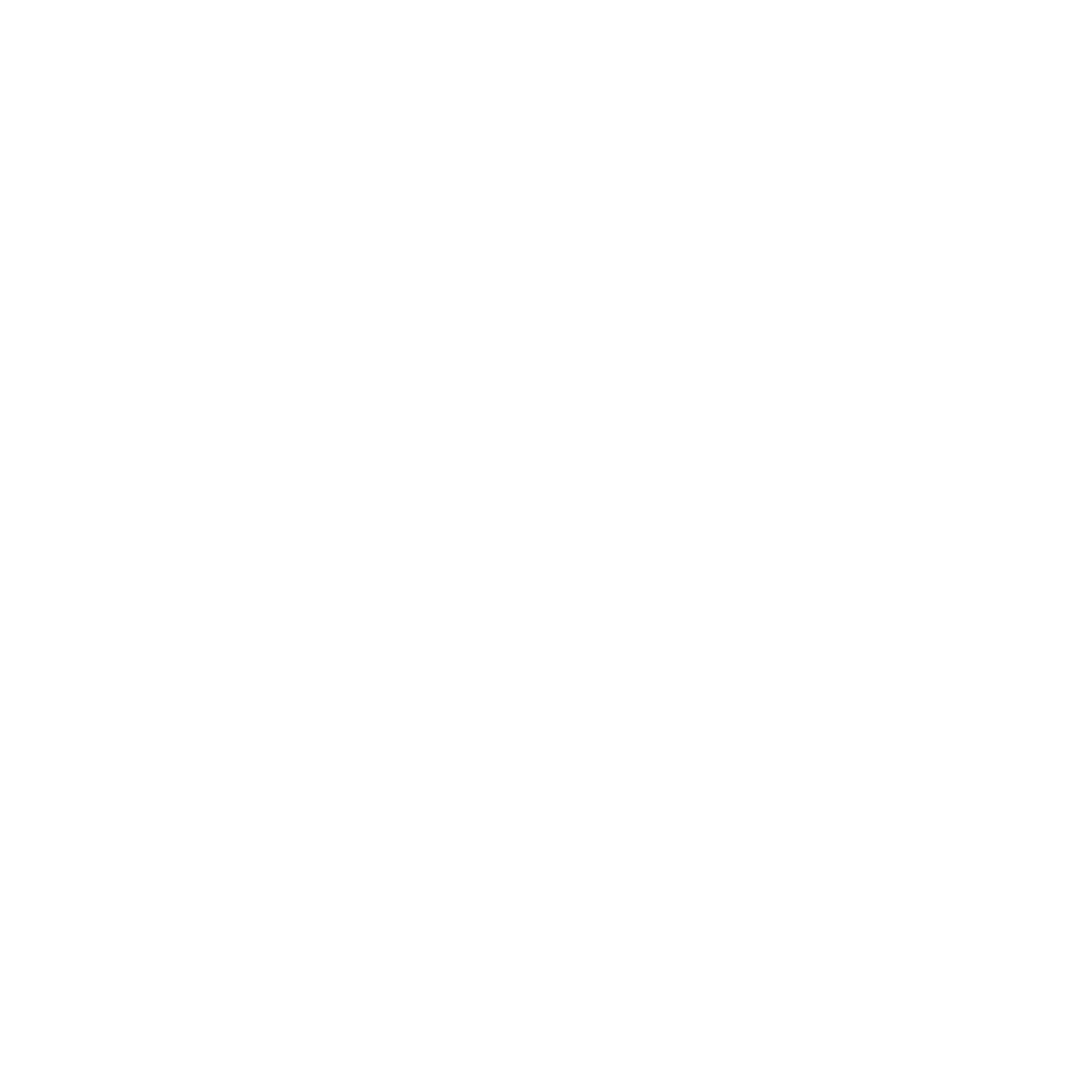 iconos-03