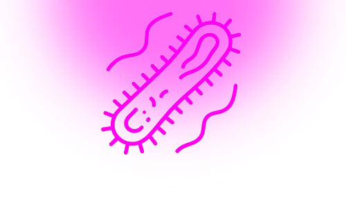 pseudomonas