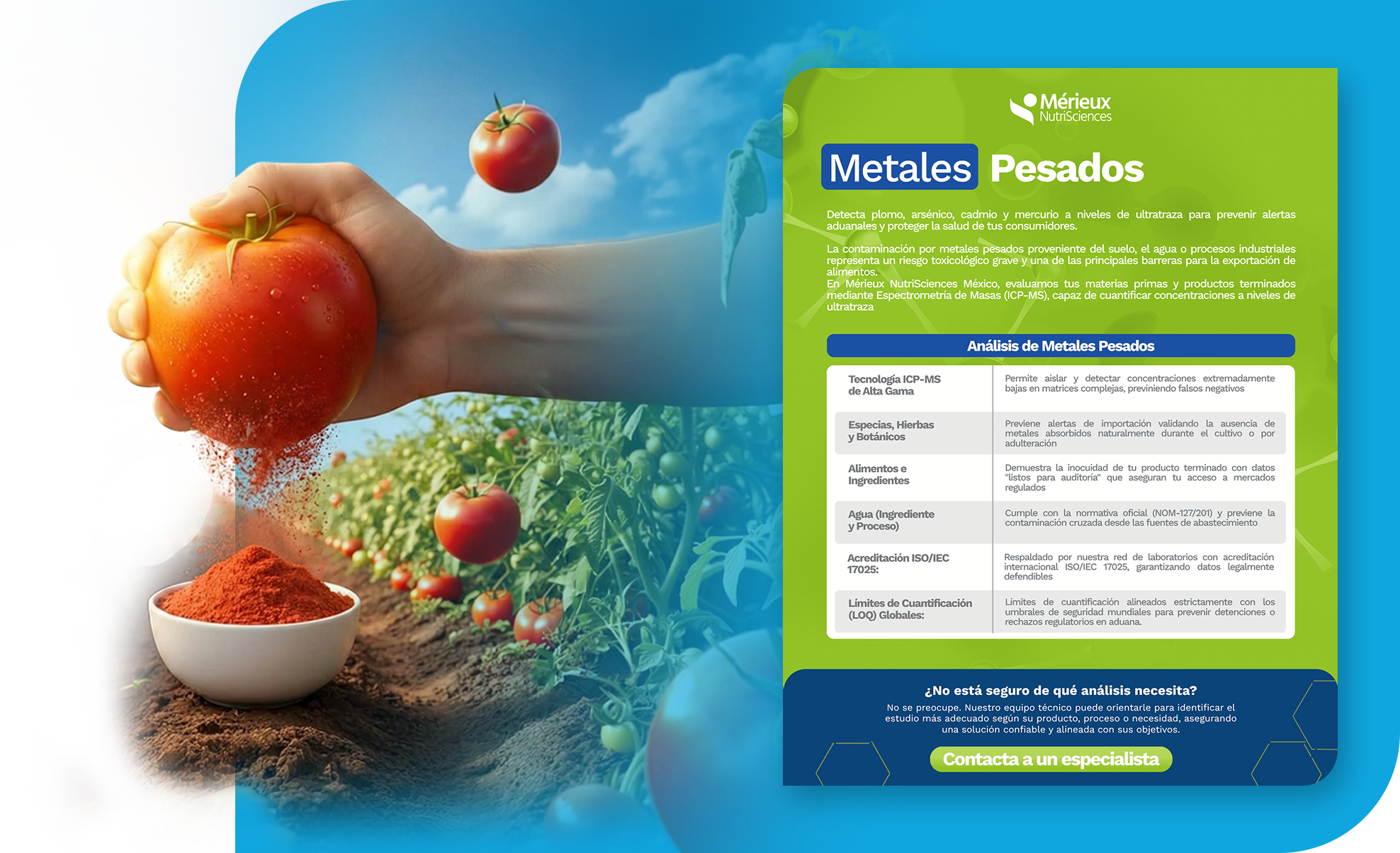 Metales pesados web
