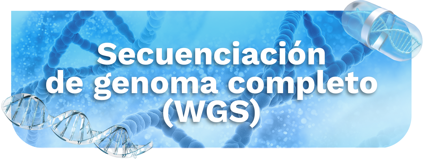 Secuenciación de genoma